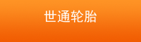 世通轮胎商行