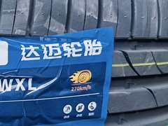 达迈 205/55R16 91R AT08